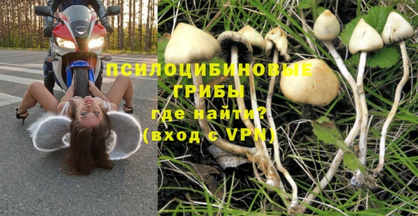 ГАЛЛЮЦИНОГЕННЫЕ ГРИБЫ Баксан