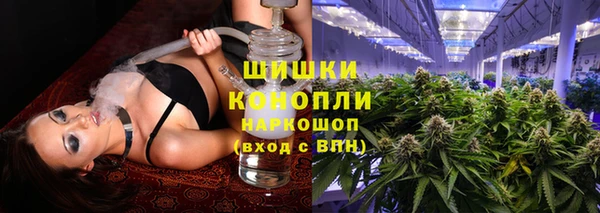 ГАЛЛЮЦИНОГЕННЫЕ ГРИБЫ Баксан