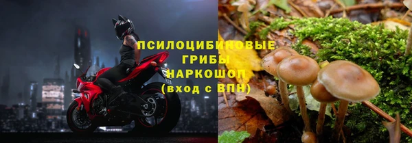 spice Заводоуковск