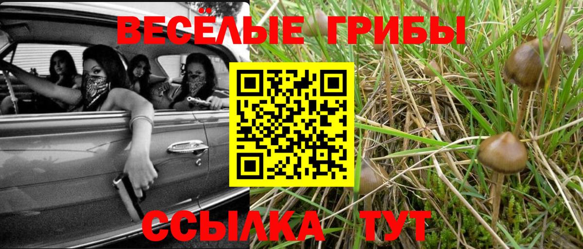Псилоцибиновые грибы GOLDEN TEACHER  Вход с VPN  Воркута 