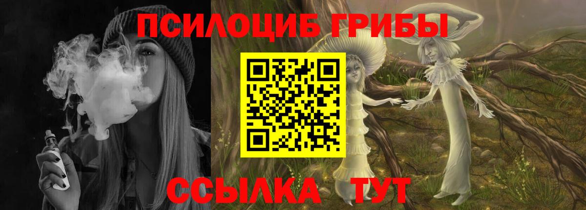 Галлюциногенные грибы Cubensis Воркута